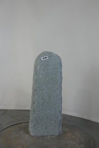 004AN001GT-3004167