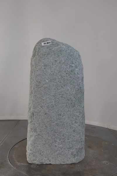 004AN001GT-3004506