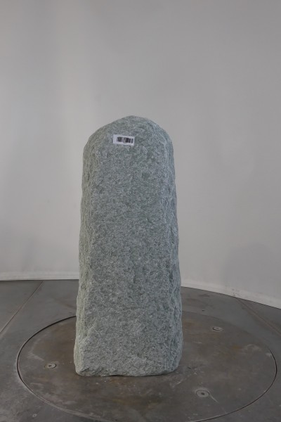 003AN001GT-3004497